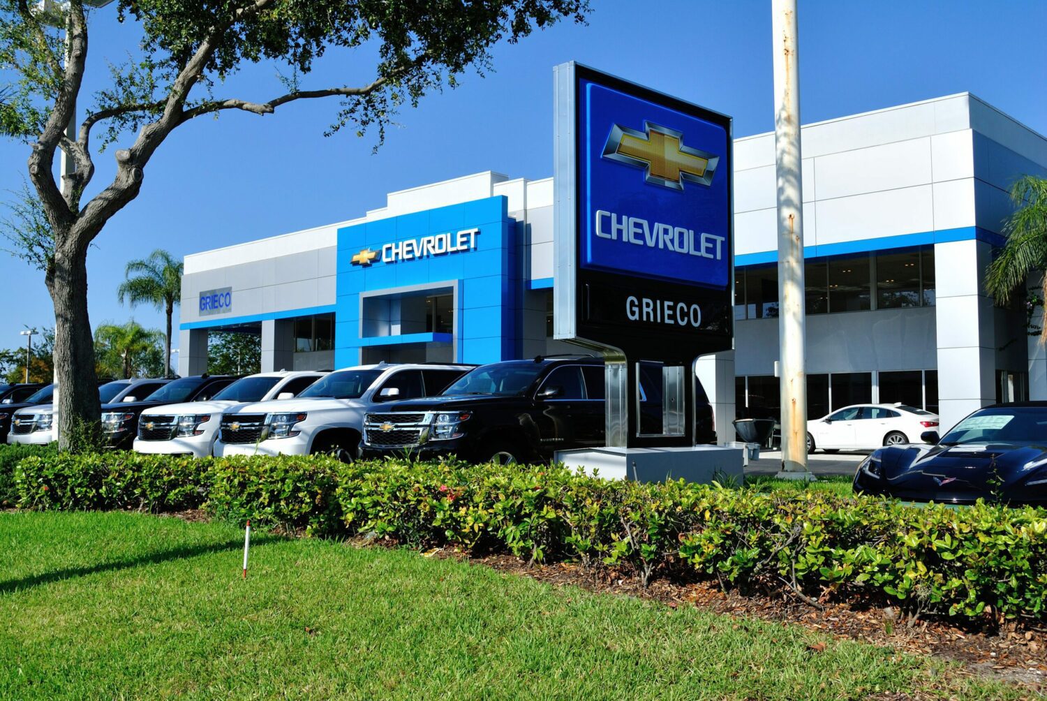 dealership
