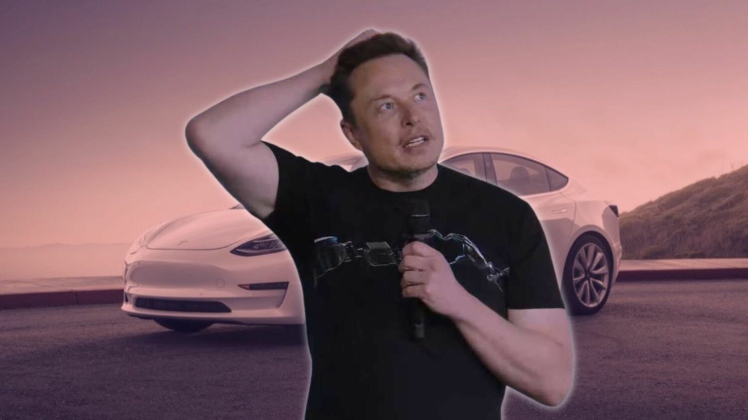 Disapproval of Elon