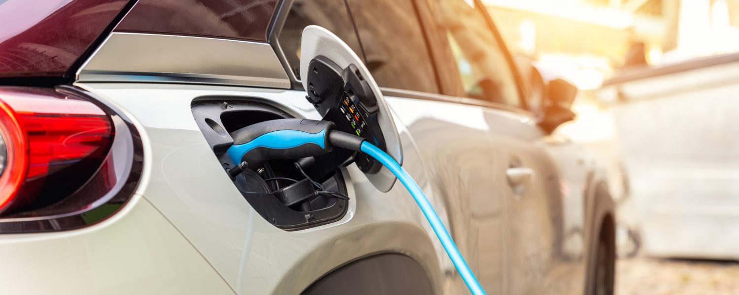 Temporary setbacks in consumer enthusiasm are attributed mainly to economic uncertainties and concerns about charging infrastructure.