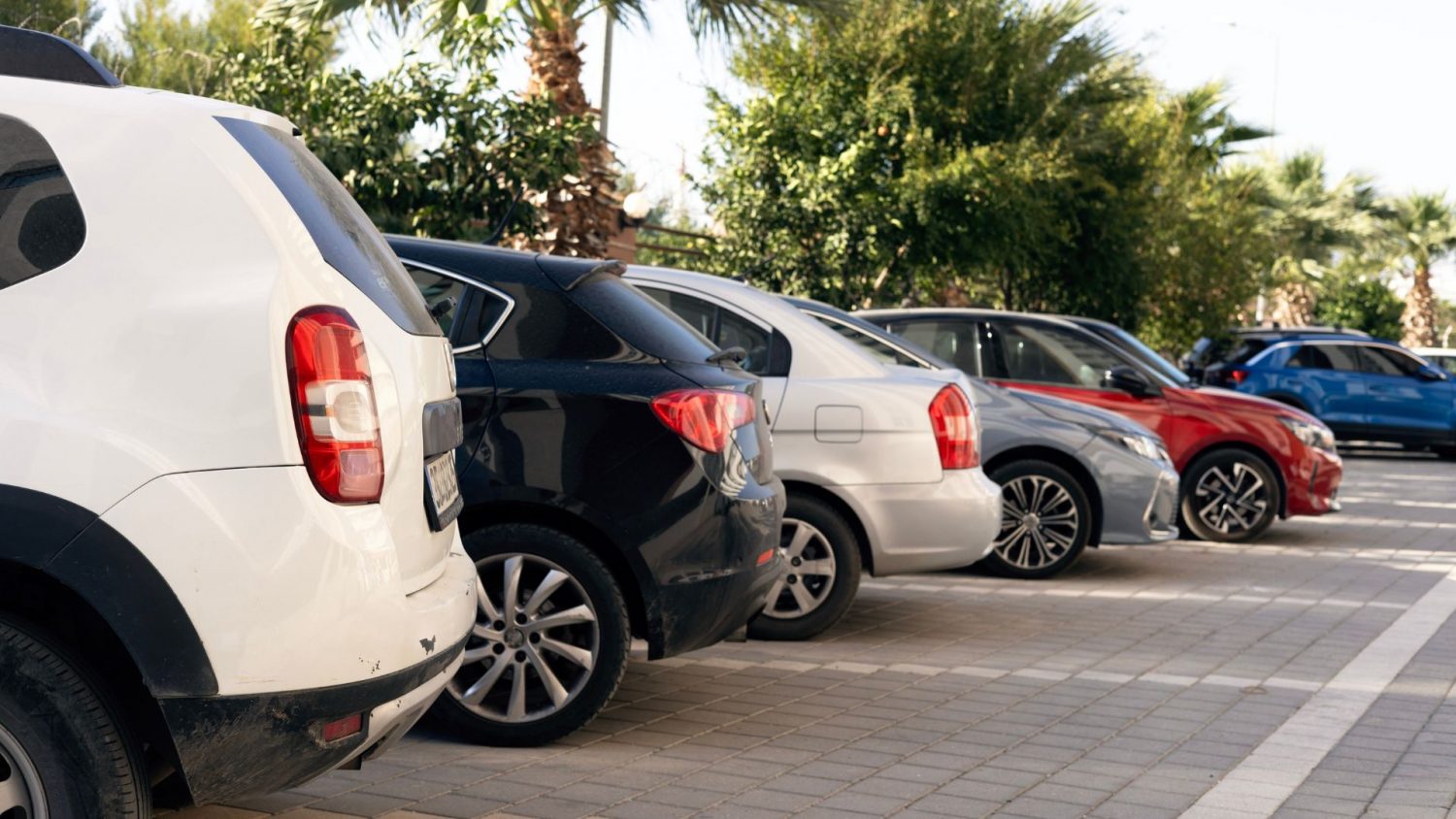 wholesale used-vehicles