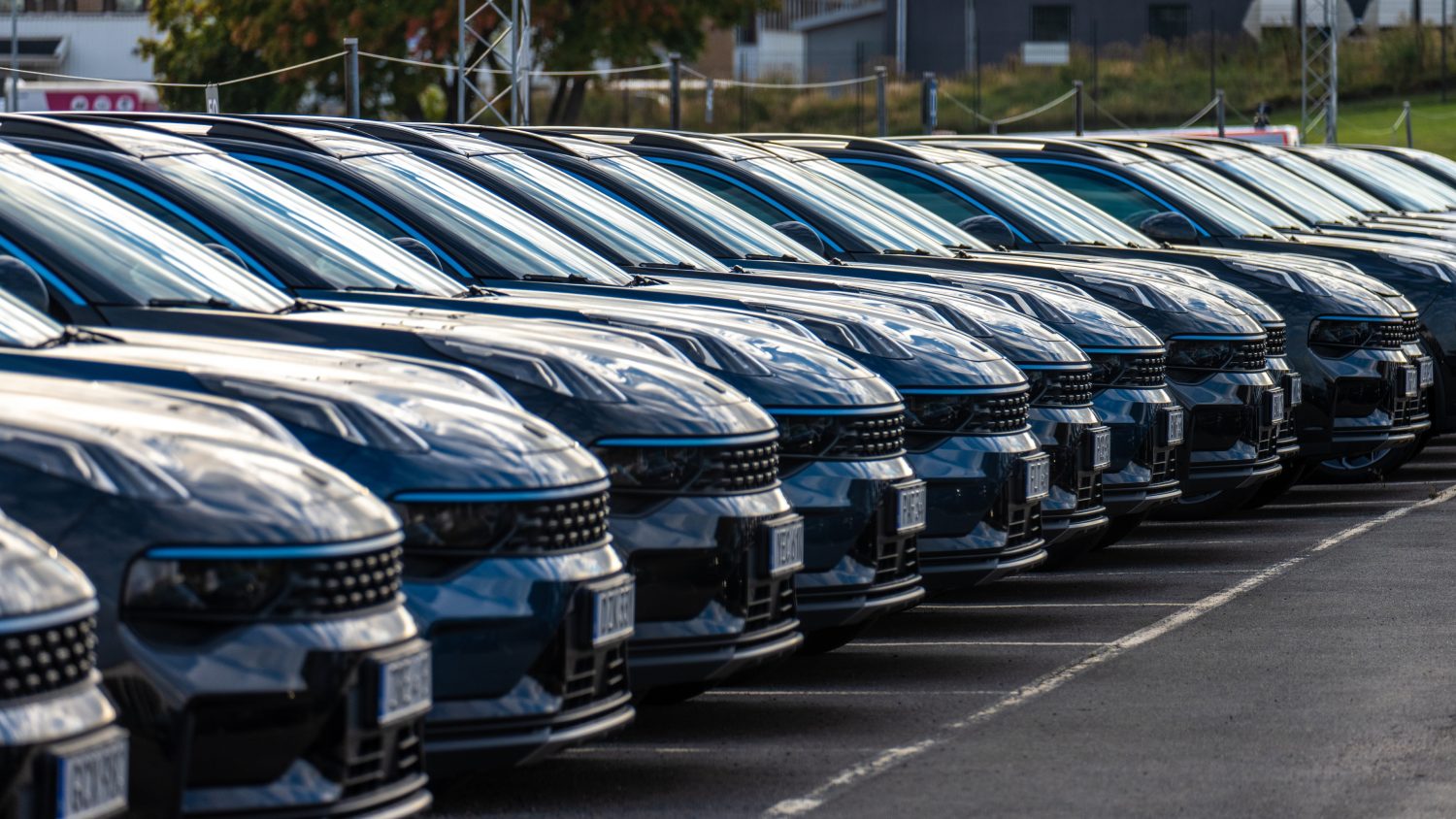 wholesale used-vehicle