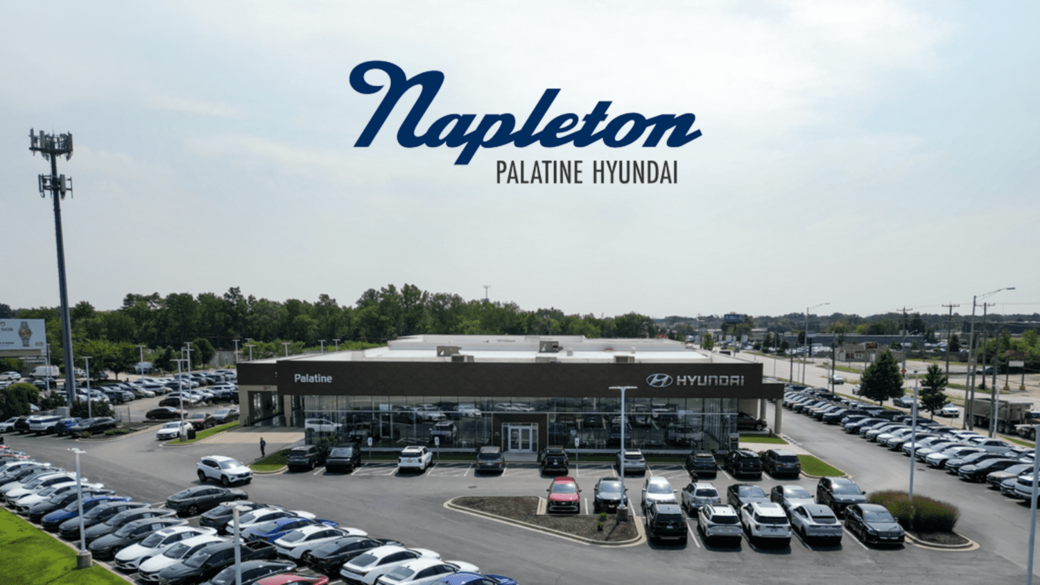 Steve Napleton Automotive Group