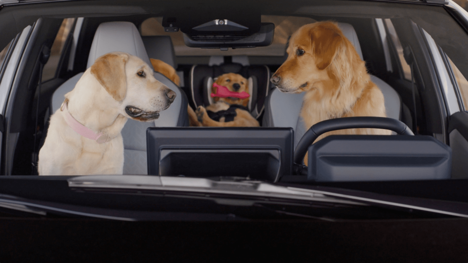 Subaru brings back the Barkley dogs in a new “Dog Tested. Dog Approved.” ad campaign featuring new models, humor, and pet-friendly stories.