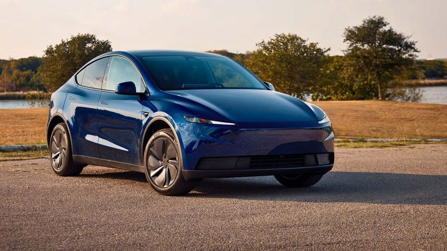 Standard Model variant, Tesla,