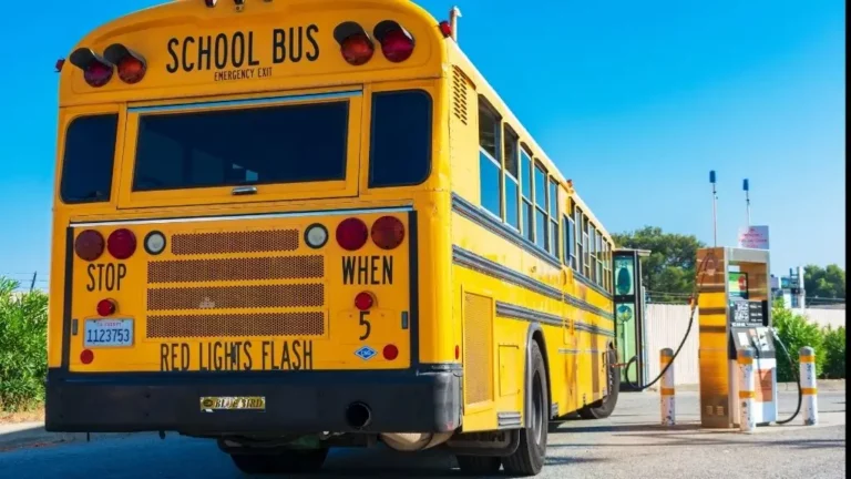 New York doubles down on electric school bus mandate